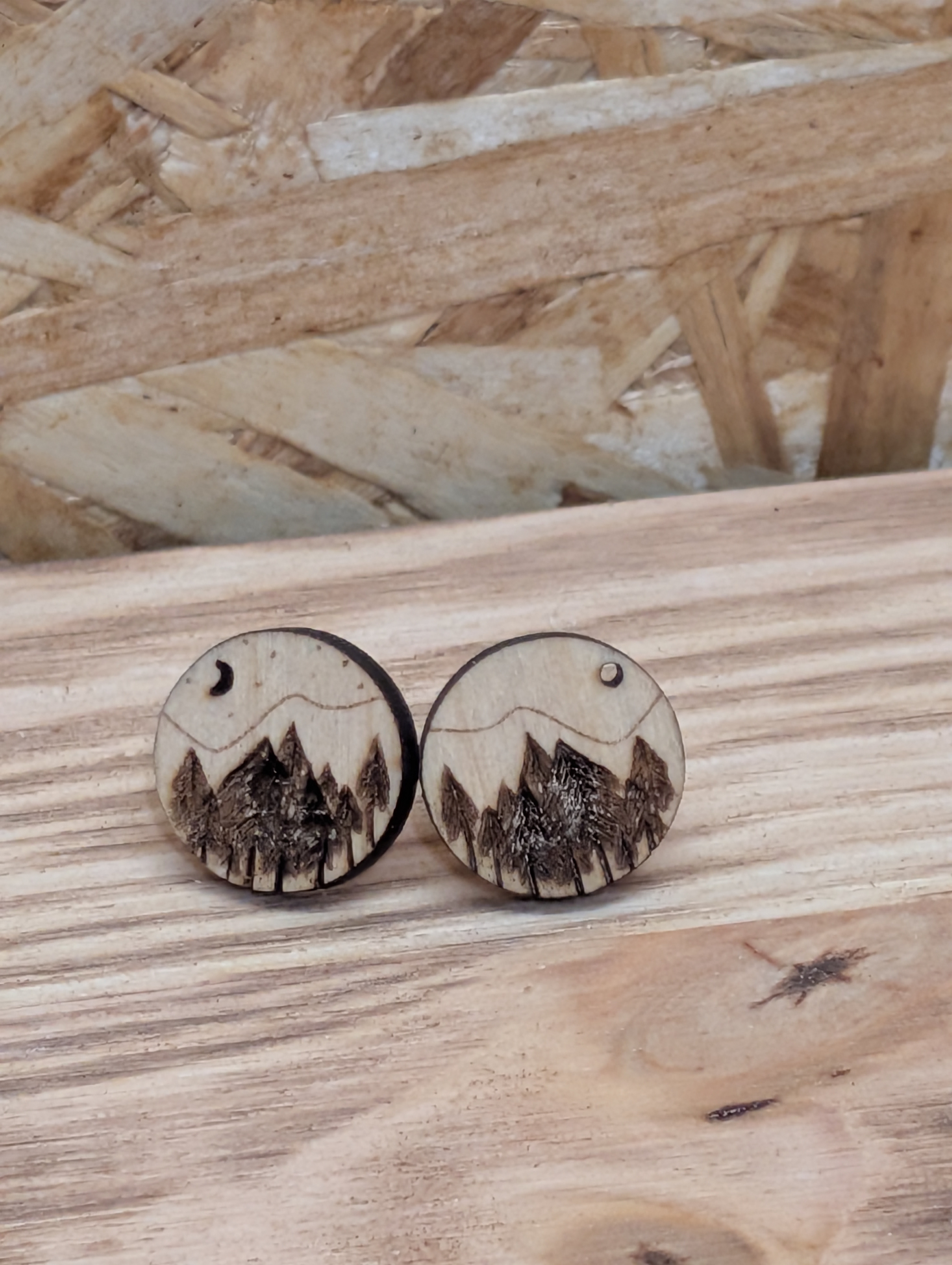 Ohrstecker - Alplblick